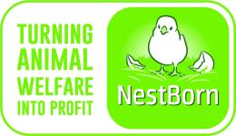 NestBorn