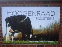 hoogenraad