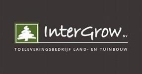 Intergrow Technics NV