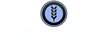 SIMONS BV