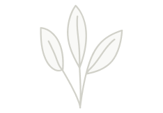 Relatiebeheerder akkerbouw Wallonië/ Vlaams Brabant/ Limburg m/v